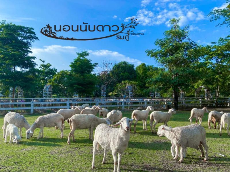 Norn Nab Dao Rimphu Resort Chiang Khan Eksteriør billede