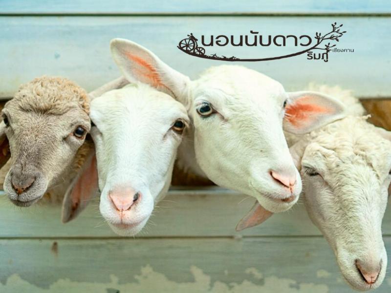 Norn Nab Dao Rimphu Resort Chiang Khan Eksteriør billede